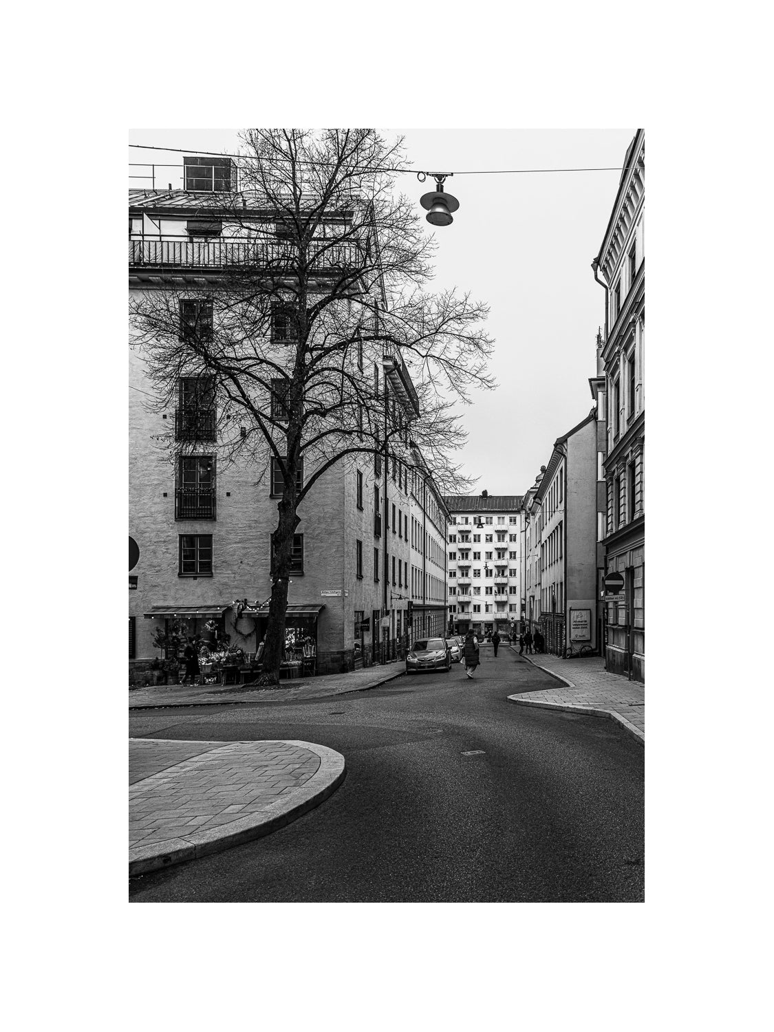 Björngårdsgatan