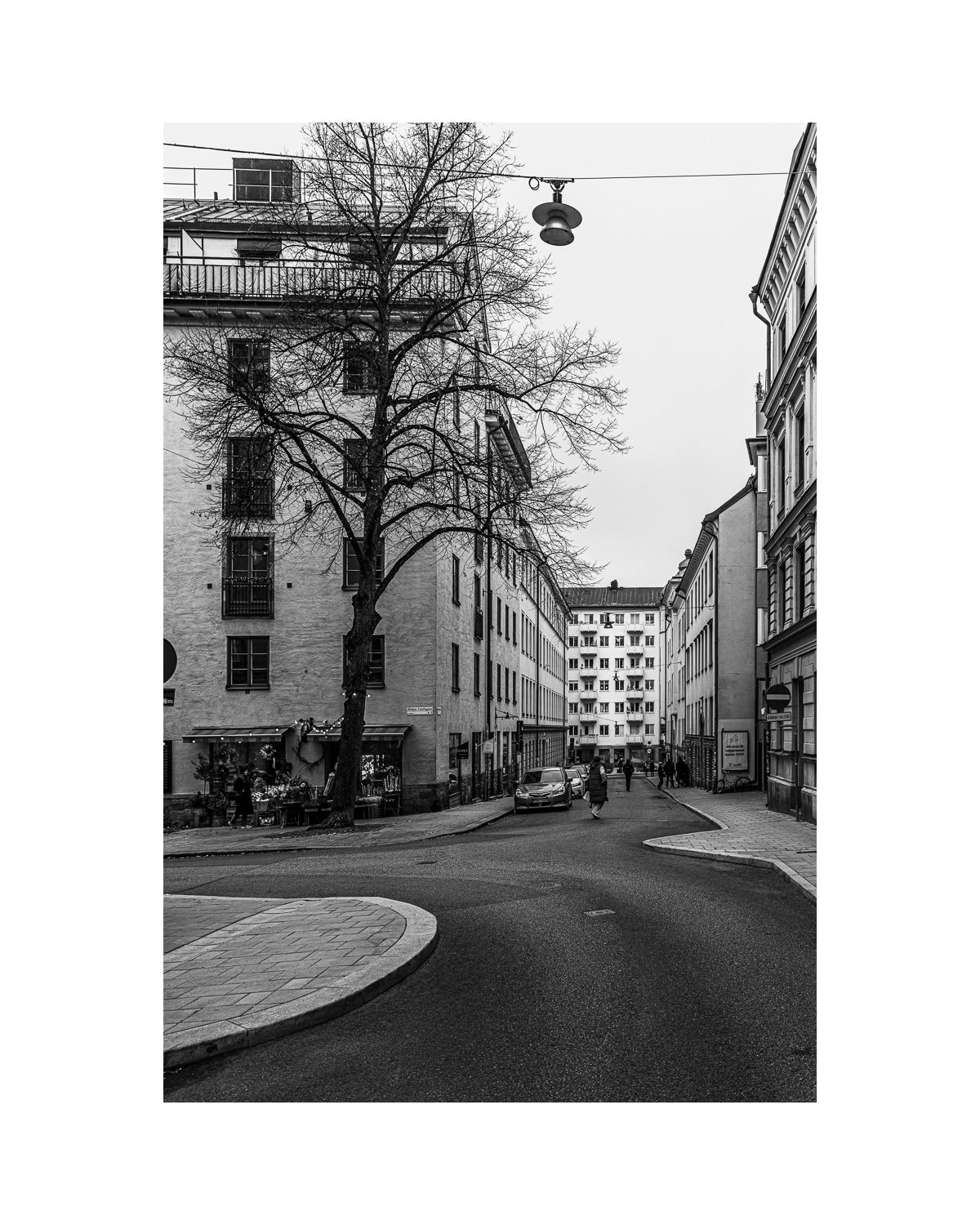 Björngårdsgatan