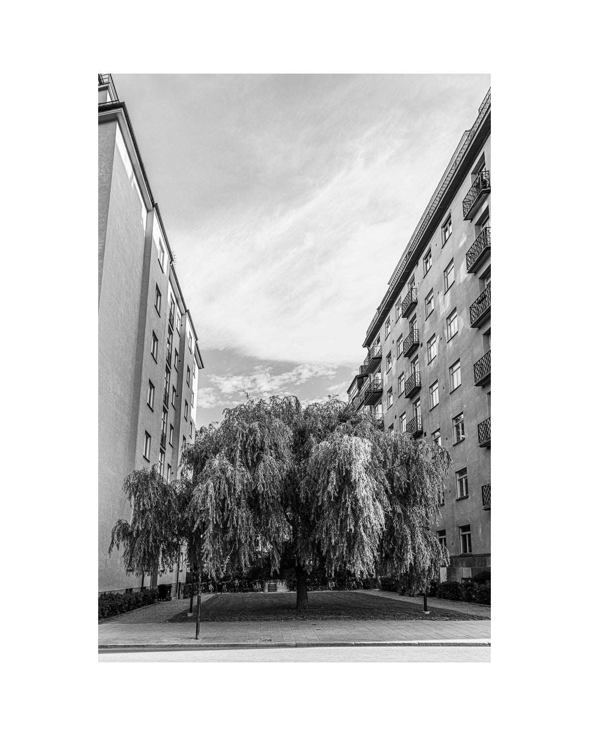 Fågelbärsgården I