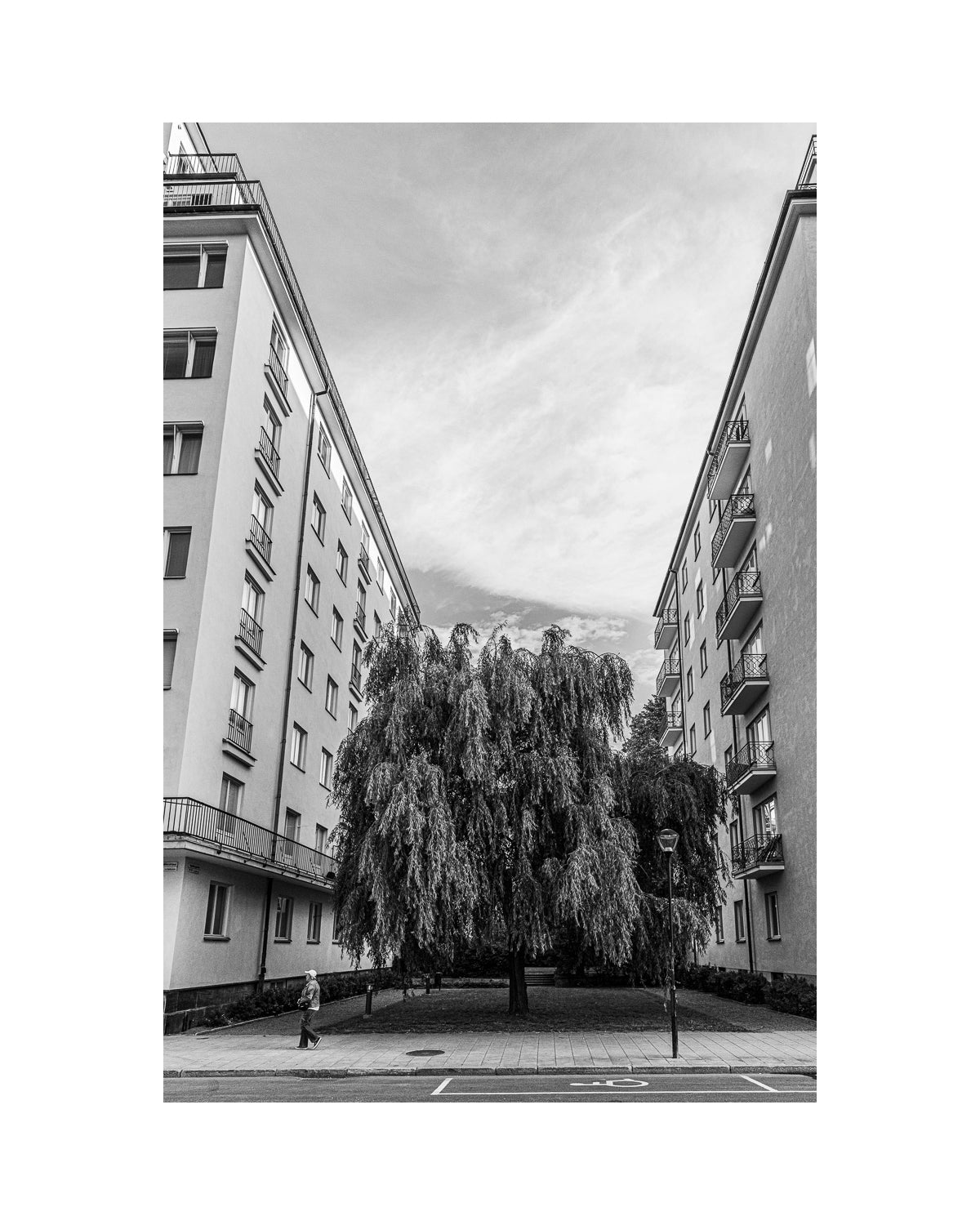 Fågelbärsgården II