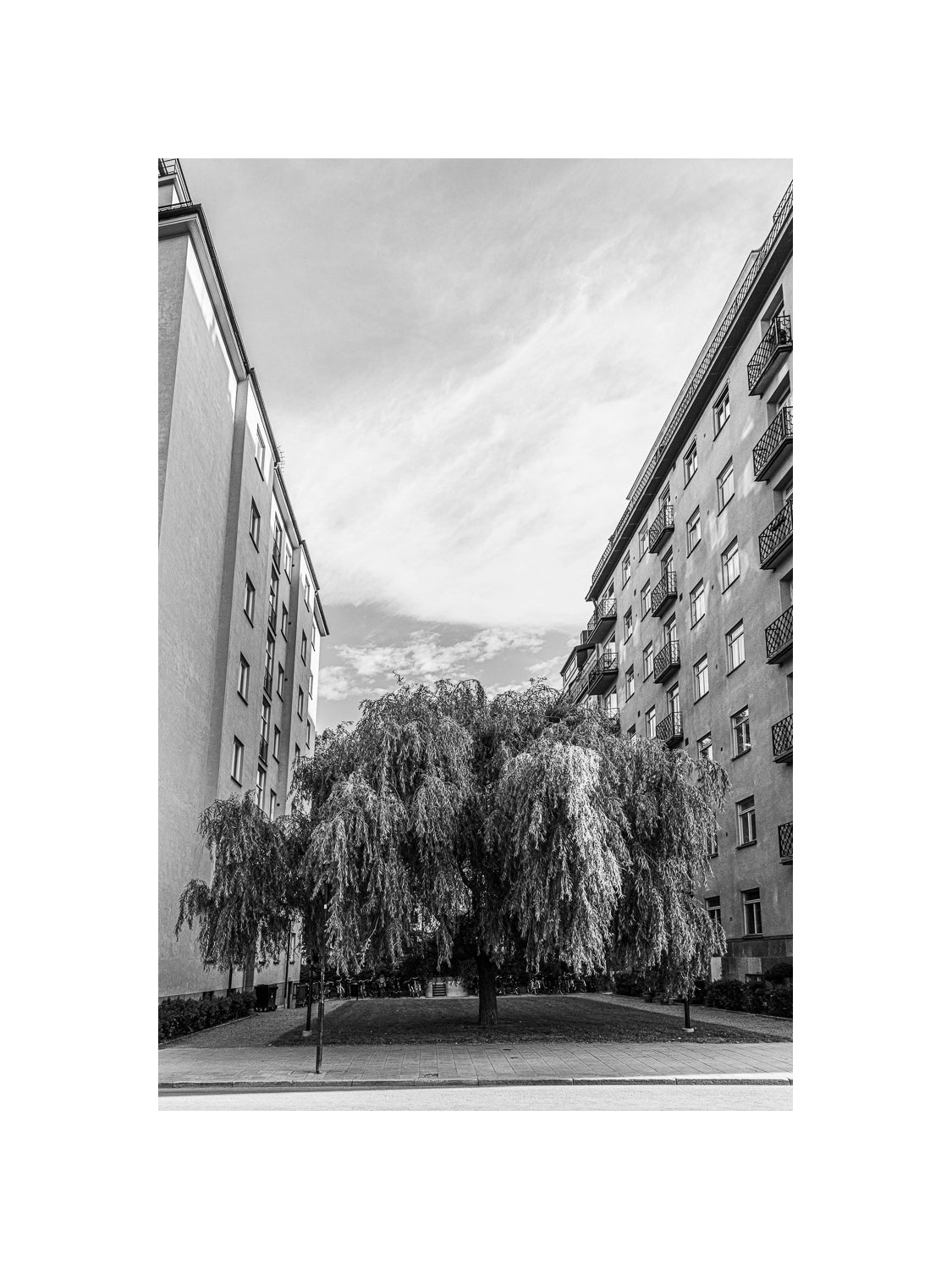 Fågelbärsgården I