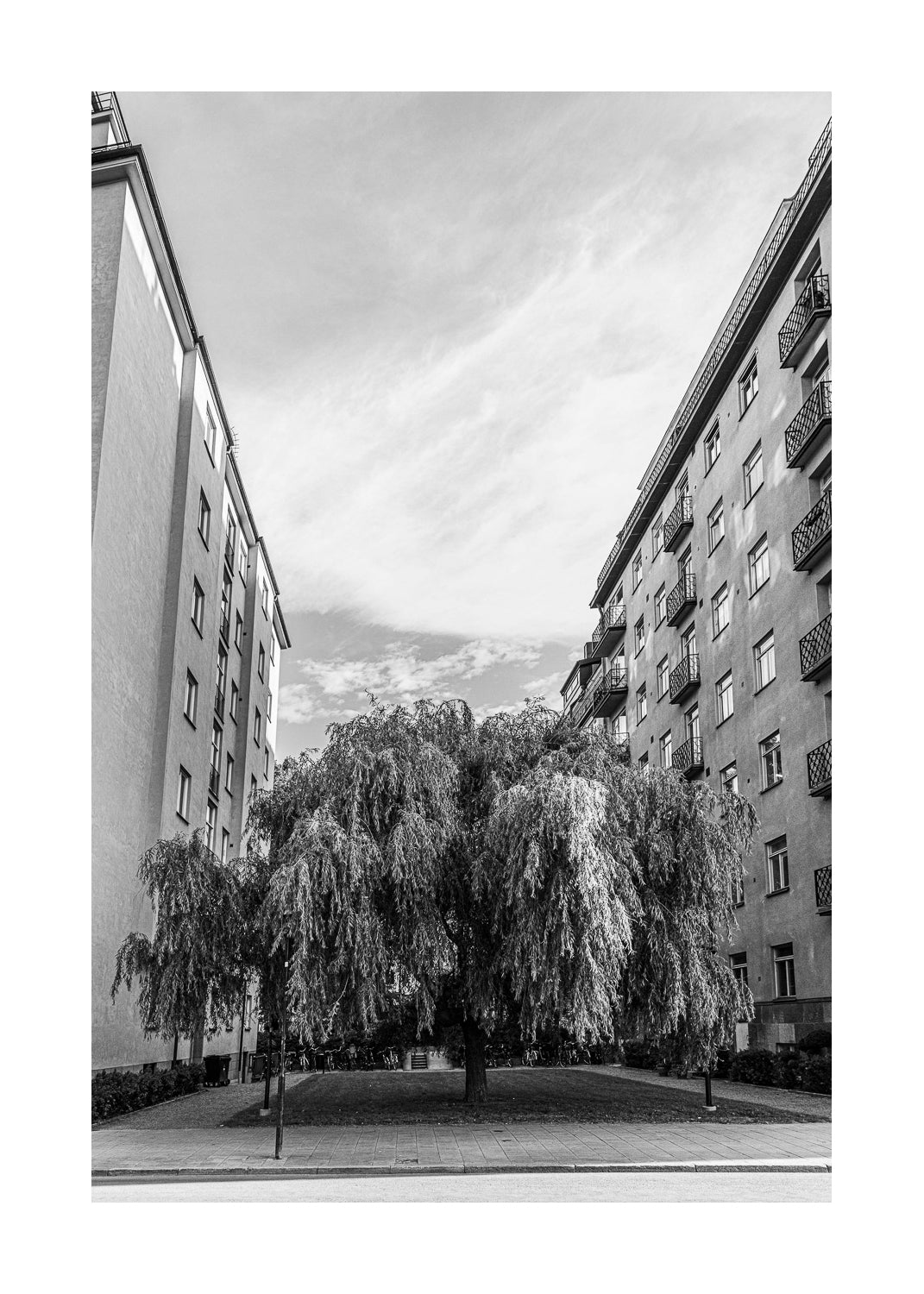 Fågelbärsgården I