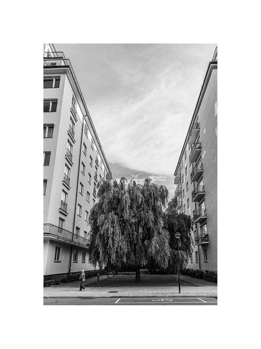 Fågelbärsgården II