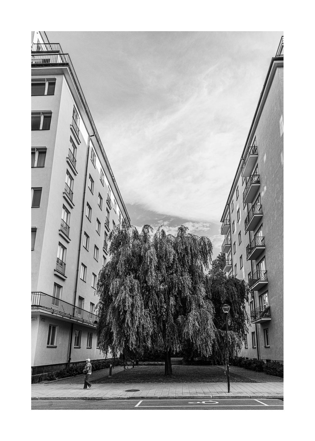 Fågelbärsgården II